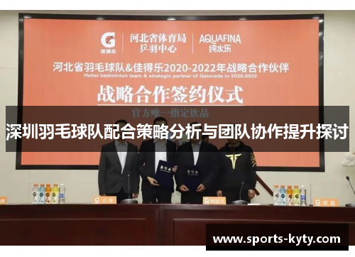 深圳羽毛球队配合策略分析与团队协作提升探讨